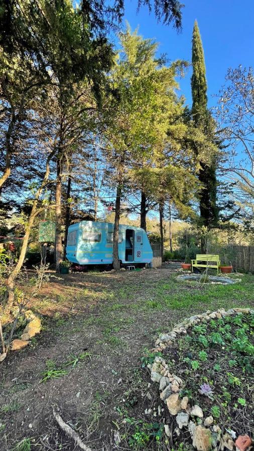 Hotel Ir Por Ai Arrabida Azeitão Zewnętrze zdjęcie